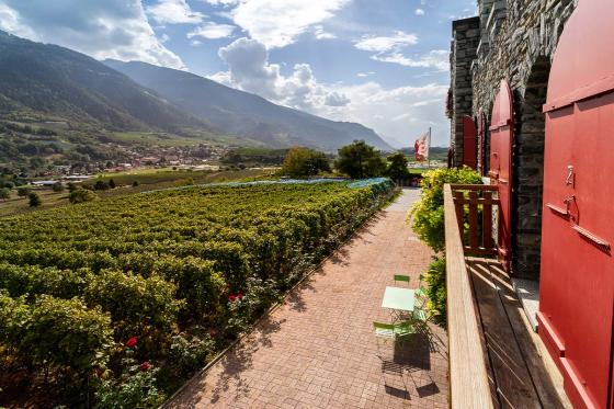 Œnotourisme dans un château - 1 nuit avec dégustation de vin et assiette valaisanne | en été 8 
