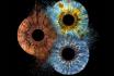 photographie d'iris en famille - 70x70cm, impression sur verre, effet explosion pour 3 personnes 