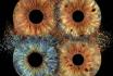 photographie d'iris en famille - 70x70cm, impression sur verre, effet explosion pour 3 personnes 1