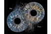 photographie d'iris en famille - 70x70cm, impression sur verre, effet explosion pour 3 personnes 2