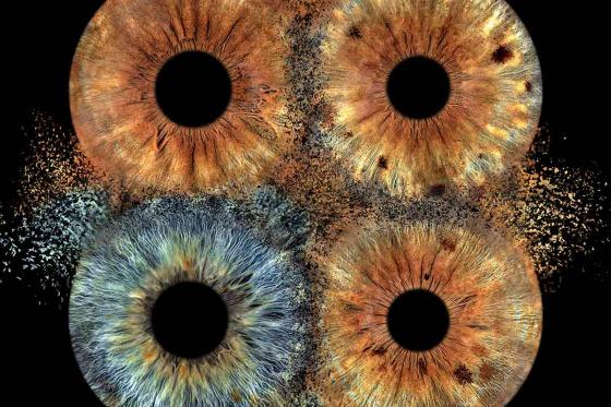 photographie d'iris en famille - 70x70cm, impression sur verre, effet explosion pour 3 personnes 1 