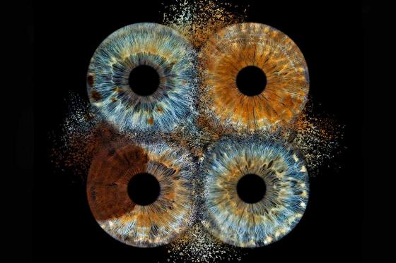 photographie d'iris en famille - 70x70cm, impression sur verre, effet explosion pour 3 personnes 4 