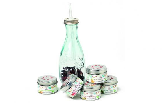 Bio Frucht Wasser - Zubereitungsset  