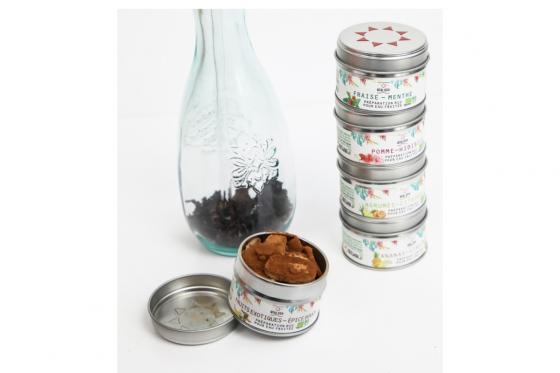 Bio Frucht Wasser - Zubereitungsset 4 