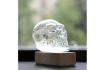 Storm glass en forme de crâne - prévisions météorologiques mystiques 2