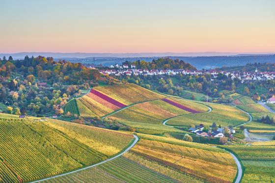3 jours à Stuttgart - Avec tour en souabe & découverte œnologique 3 