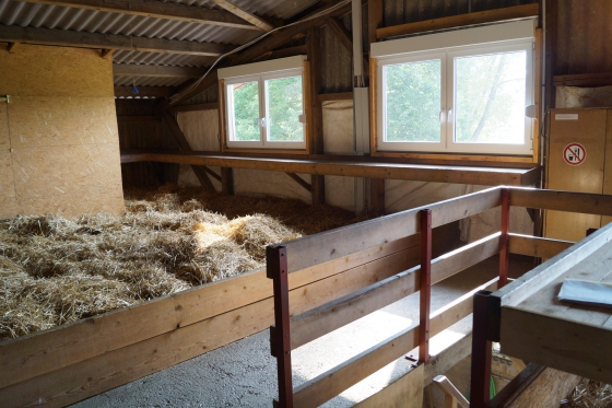 Schlafen im Stroh - auf einem Biobauernhof am Rhein   Schlafen im Stroh - auf einem Biobauernhof am Rhein