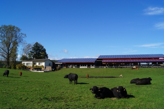 Schlafen im Stroh - auf einem Biobauernhof am Rhein 1  Schlafen im Stroh - auf einem Biobauernhof am Rhein 1