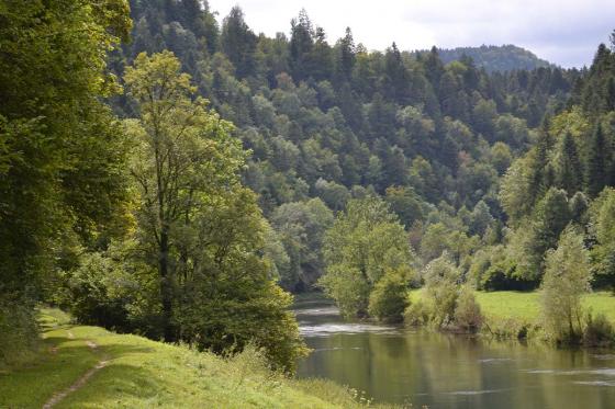 E-VTT avec guide & pizza - Balade d'une demi-journée dans le Jura pour 2 personnes 3 