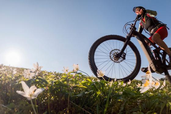 E-VTT avec guide & pizza - Balade d'une demi-journée dans le Jura pour 2 personnes 8 
