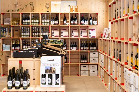 Dégustation de vins - Plateau Valaisan & balade libre inclus, pour 4 personnes 1  Dégustation de vins - Plateau Valaisan & balade libre inclus, pour 4 personnes 1