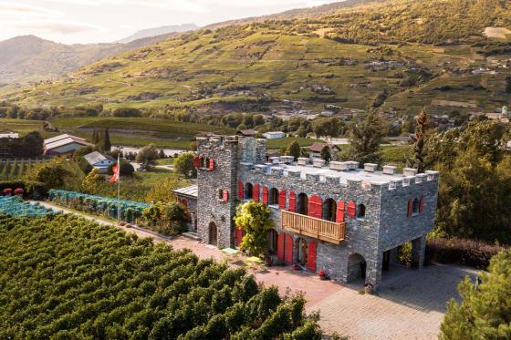 Dégustation de vins - Plateau Valaisan & balade libre inclus, pour 4 personnes 4  Dégustation de vins - Plateau Valaisan & balade libre inclus, pour 4 personnes 4