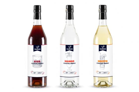 Cocktail Party à la maison - bon cadeau pour 2 bouteilles de Cocktail Premix + 1 Shaker Set 4  Cocktail Party à la maison - bon cadeau pour 2 bouteilles de Cocktail Premix + 1 Shaker Set 4