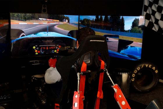 Formel 1 Race Simulator - für 1 Person & 2 Begleitpersonen in Zürich 1 