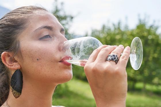 Weinverkostung - inkl. Walliser Platte & freier Spaziergang, 6 Personen 11 