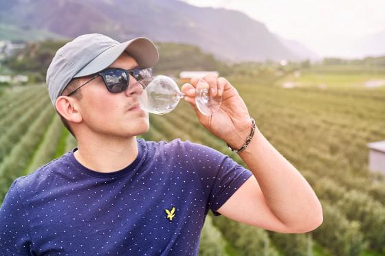 Weinverkostung - inkl. Walliser Platte & freier Spaziergang, 6 Personen 12 