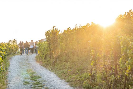 Weinverkostung - inkl. Walliser Platte & freier Spaziergang, 6 Personen 14 