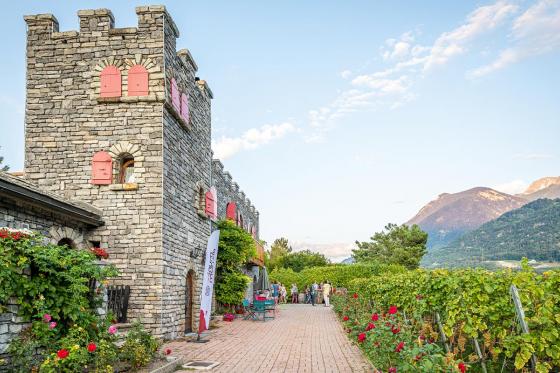 Weinverkostung - inkl. Walliser Platte & freier Spaziergang, 6 Personen 15 