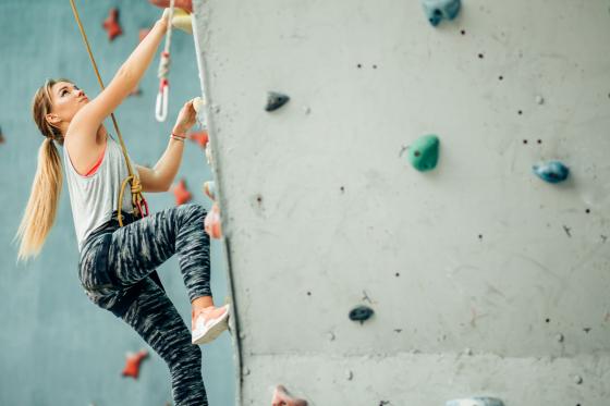 Initiation à l'escalade en intérieur  - pour un groupe de 1 à 4 personnes, à Saxon   
