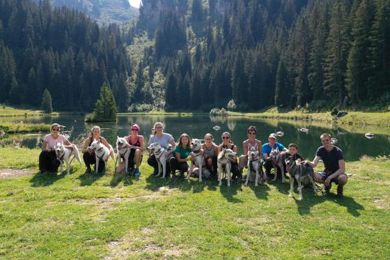 Husky-Wanderung - Für 2 Personen 2 
