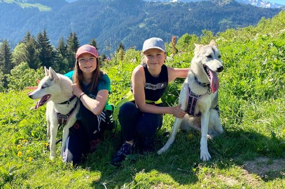 Husky-Wanderung - Für 2 Personen 3 