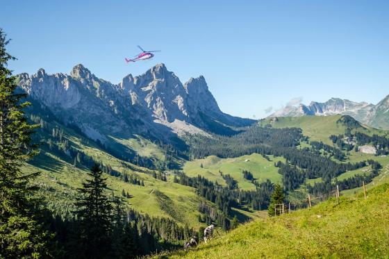 Hélicoptère aux Gastlosen - Vol d'env. 25 minutes au-dessus des Préalpes fribourgeoises | 1 pers. 1 