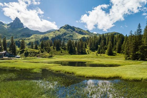 Hélicoptère aux Gastlosen - Vol d'env. 25 minutes au-dessus des Préalpes fribourgeoises | 1 pers. 5 