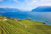 Lavaux Helikopterflug - 35-minütiger Flug und Fondue für 1 Person 2