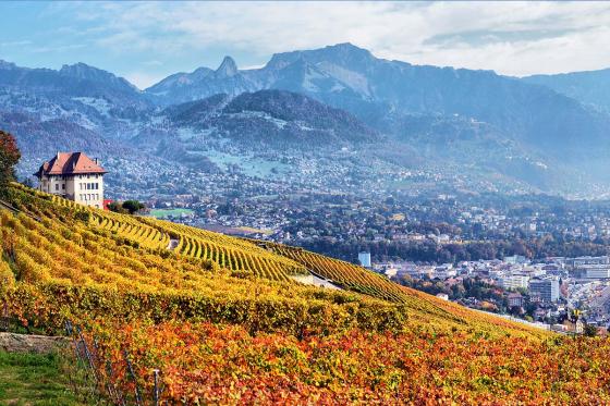 Hélicoptère au Lavaux - 35 minutes pour 1 personne, avec fondue incluse 1 