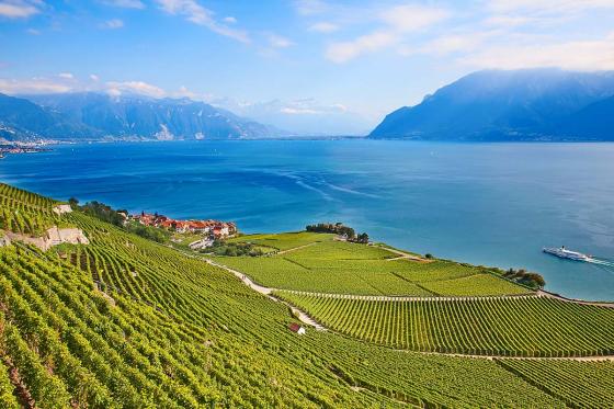 Hélicoptère au Lavaux - 35 minutes pour 1 personne, avec fondue incluse 2 
