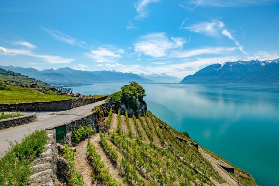 Hélicoptère au Lavaux - 35 minutes pour 1 personne, avec fondue incluse 3 