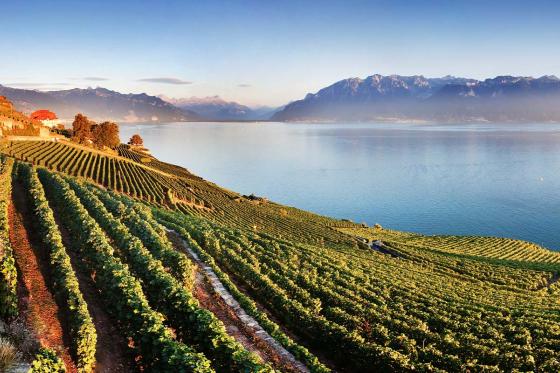 Hélicoptère au Lavaux - 35 minutes pour 1 personne, avec fondue incluse 4 