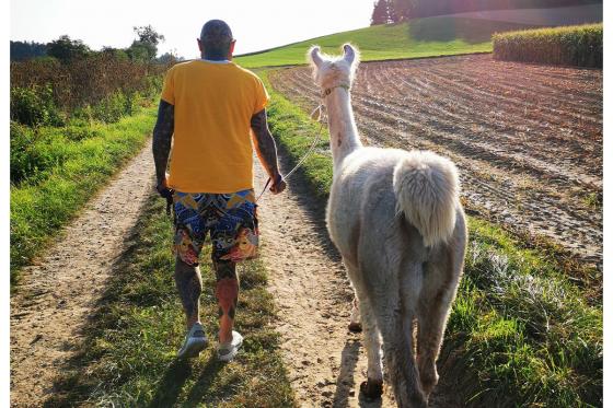 Lama Moment - 2h Tour für 2 Erwachsene und 2 Kinder, in Freiburg 4 