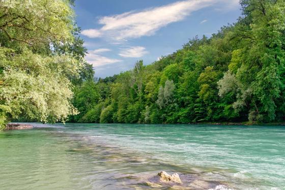 Découverte Stand Up Paddle - sur la rivière de l'Aar avec pique-nique et boissons inclus | 2 pers 1 