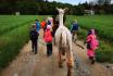 Rencontre avec les lamas - 2h de sortie pour 2 adultes et 2 enfants dans le Jura 