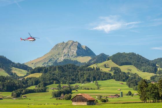 Héli-Fondue au Moléson - Vol de 20 minutes pour 1 personne, avec fondue incluse 2 