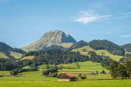 Héli-Fondue au Moléson - Vol de 20 minutes pour 1 personne, avec fondue incluse 7 