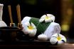 Massage thaïlandais - pour 1 personne avec thé inclus 1