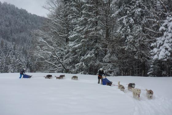 Husky exclusif - pour 2 personnes 1 