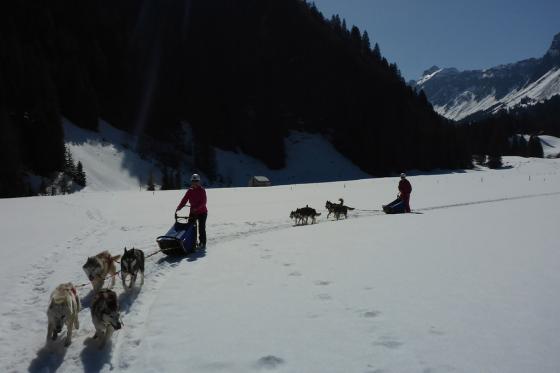 Husky exclusif - pour 2 personnes 2 