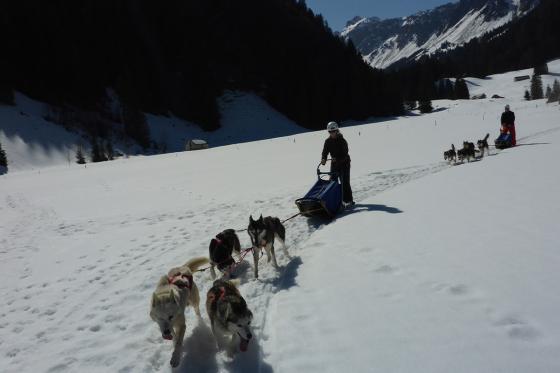 Husky exclusif - pour 2 personnes 3 