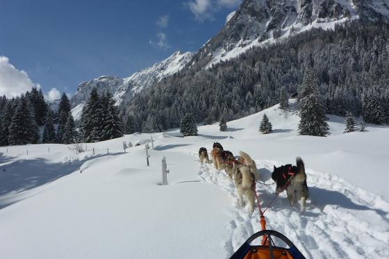 Husky exclusif - pour 2 personnes 4 