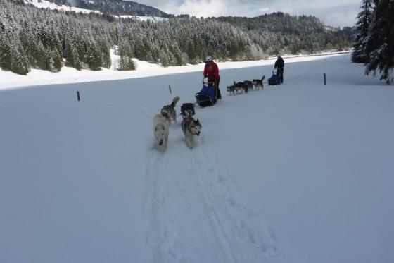 Husky exclusif - pour 2 personnes 5 