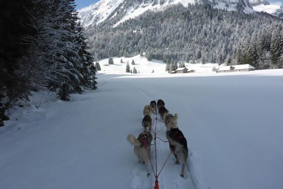 Husky exclusif - pour 2 personnes 6 