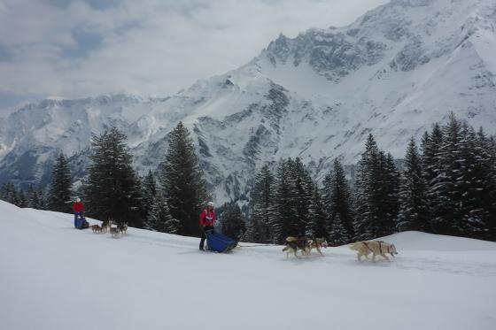 Husky exclusif - pour 2 personnes 7 