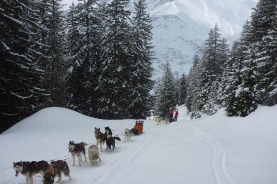 Husky exclusif - pour 2 personnes 8 