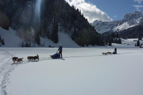 Husky exclusif - pour 2 personnes 10 