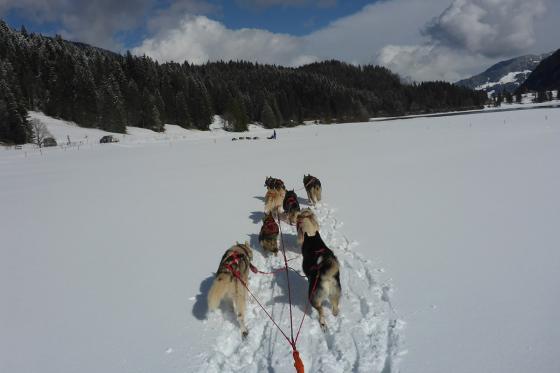 Husky exclusif - pour 2 personnes 11 