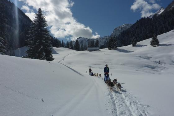 Husky exclusif - pour 2 personnes 12 