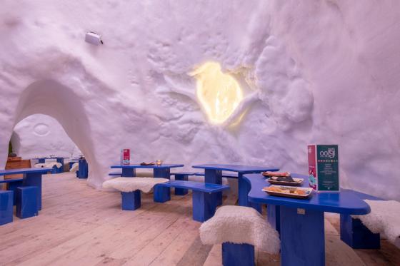Iglu-Übernachtung für 2 Personen - in Avoriaz inkl. mit Fondue, Aperitif und Dessert | Wochenende 3 